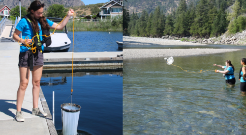 Another year free of invasive mussels for Okanagan, Similkameen lakes and rivers