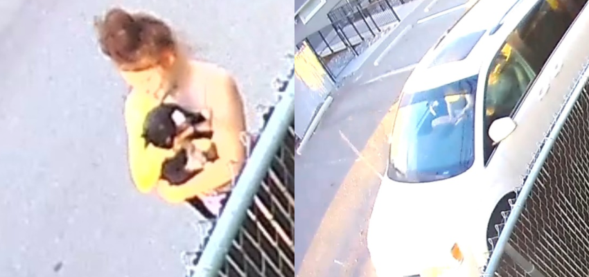 Kamloops Mounties looking to identify alleged cat-napper